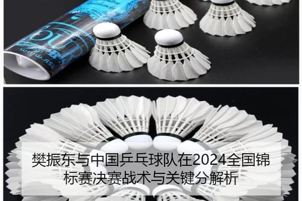 fan-zhen-dong-yu-zhong-guo-ping-pang-qiu-dui-zai-quan-guo-jin-biao-sai-jue-sai-zhan-shu-yu-guan-jian-fen-jie-xi-2-689.jpg